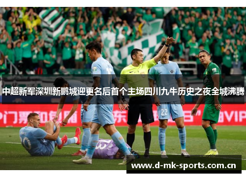 中超新军深圳新鹏城迎更名后首个主场四川九牛历史之夜全城沸腾 中超新军深圳新鹏城迎更名后首个主场四川九牛历史之夜全城沸腾